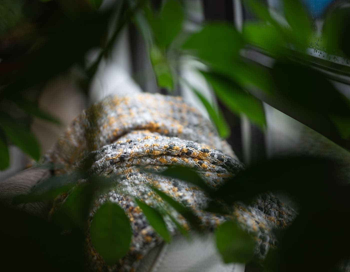 A knitted blanket resting near a window beside green leaves